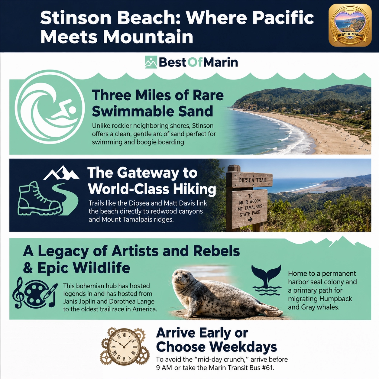 Stinson Beach visitor guide graphic